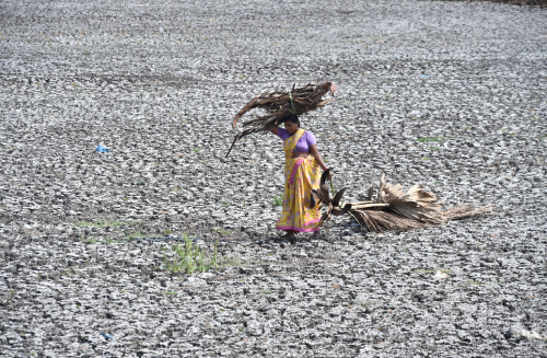 PLF | Poverty Learning Foundation