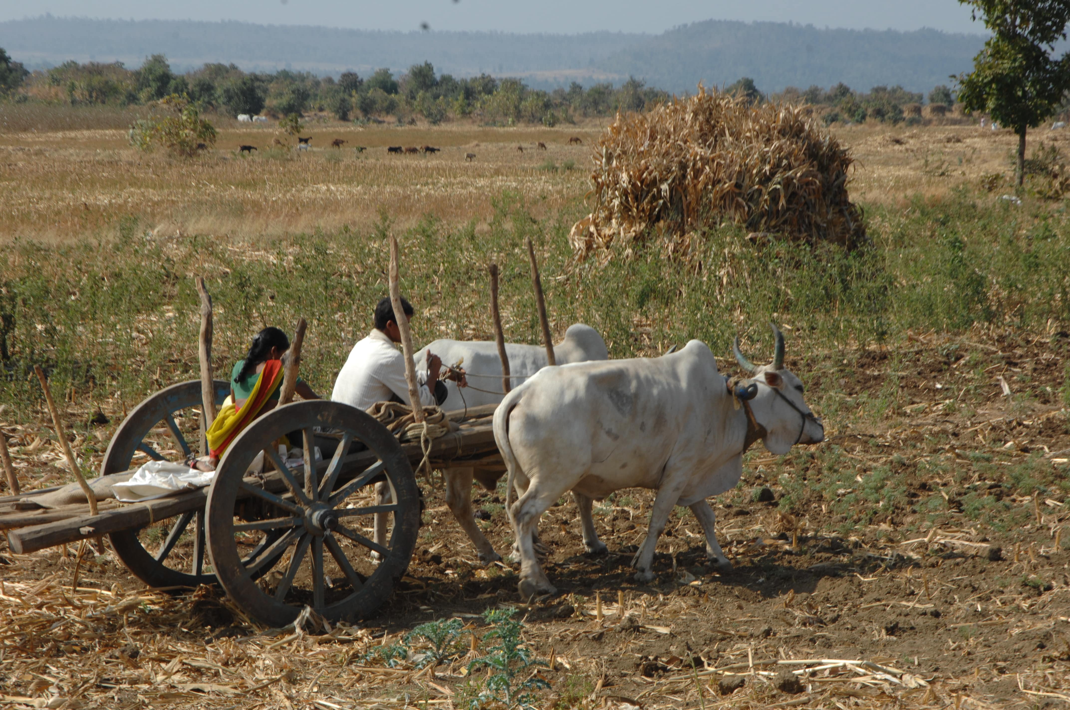 Driving Transformation