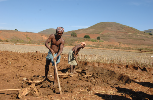 PLF | Poverty Learning Foundation